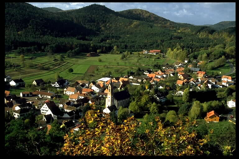 Birk053.jpg (69139 Byte)