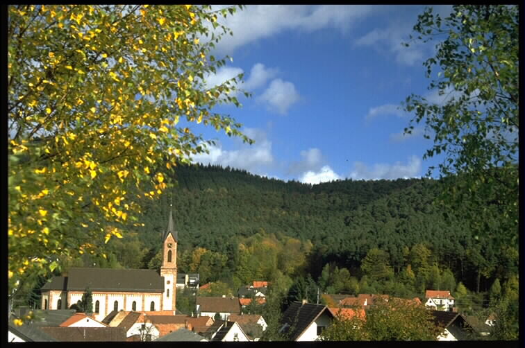 Birk055h.jpg (95202 Byte)