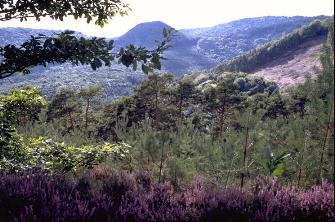 DERST027b.JPG (23054 Byte)