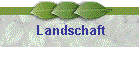 Landschaft