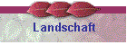 Landschaft