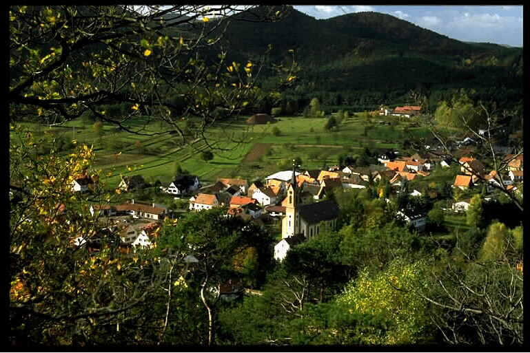 wpe36.jpg (66408 Byte)