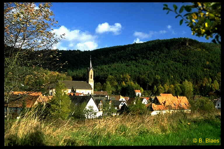 wpe22.jpg (67154 Byte)