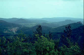 wpe4E.jpg (8447 Byte)