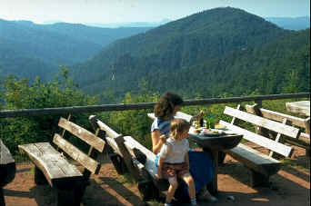 wpe4D.jpg (12675 Byte)