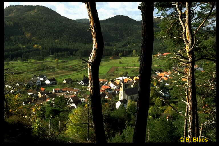 wpe32.jpg (61817 Byte)