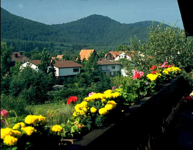 wpe3F.jpg (42153 Byte)