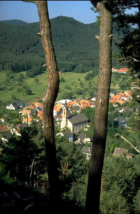 wpe3B.jpg (50940 Byte)