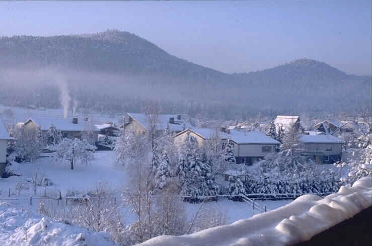 wpe45.jpg (32814 Byte)