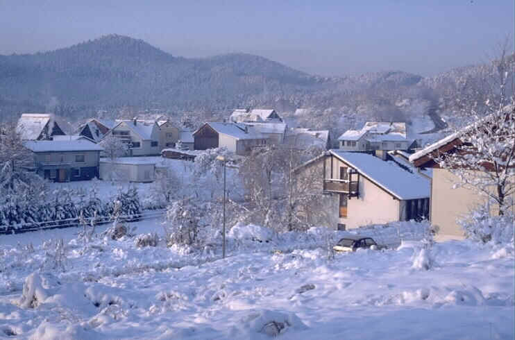 wpe46.jpg (39231 Byte)