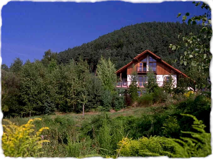 wpe47.jpg (48224 Byte)