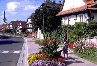 wpe62.jpg (14958 Byte)