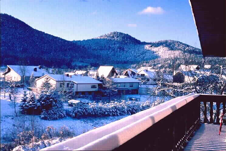 wpe4D.jpg (53162 Byte)