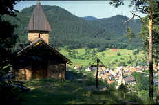 wpe50.jpg (7162 Byte)