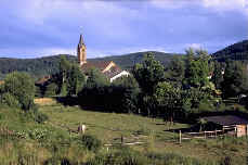 wpe51.jpg (6186 Byte)