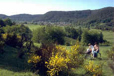 wpe55.jpg (6990 Byte)