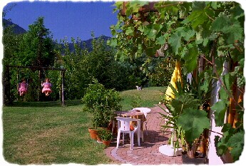 Schauk4.jpg (137473 Byte)